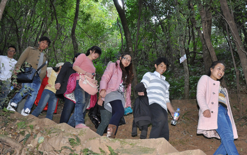 青龍峽位于昆明西郊安寧市青龍鎮(zhèn)滇中生態(tài)大峽谷中，景區(qū)有保存較為完好的植物群落，遮天蔽日的參天古木；有浪漫山花，野果飄香，還有清秀寧靜的田園風光。河谷沿岸古柳成蔭，幾十里的云南櫻花大道成為昆明郊游靚麗的風景線。景區(qū)中溪水潺潺，千姿百態(tài)、千奇百怪的蔓藤風光隨處可見，號稱“都市身旁的小九寨。